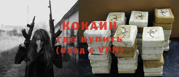 гашик Аркадак