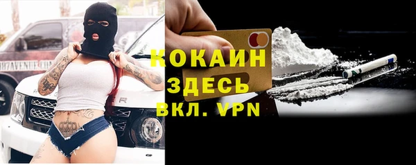 гашик Аркадак