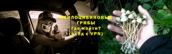 спайс Арсеньев