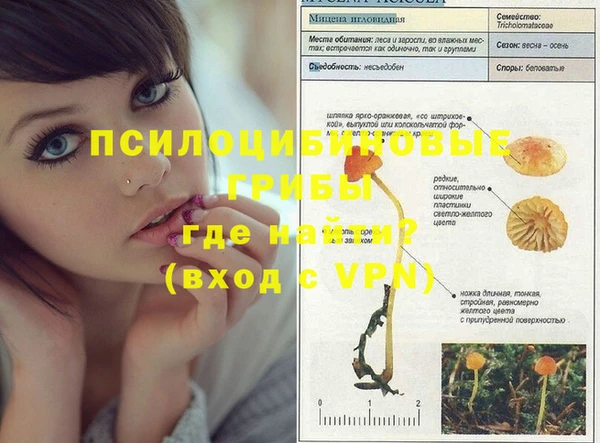 гашик Аркадак
