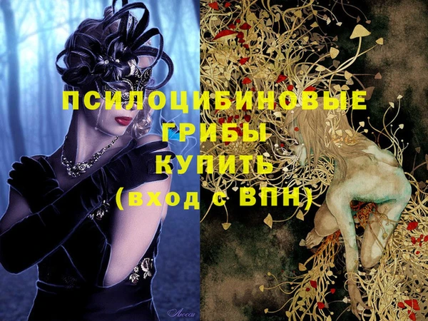 гашик Аркадак