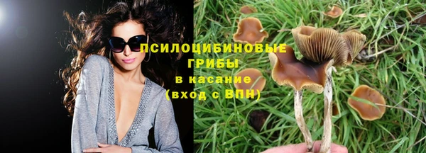 гашик Аркадак