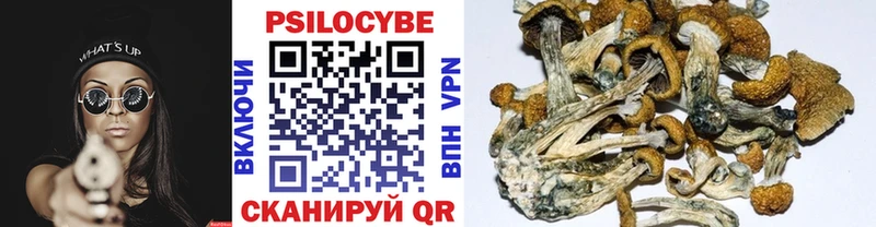Псилоцибиновые грибы Cubensis купить наркотик Бабушкин